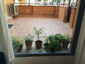 Home. window Rome