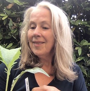 Home. me plant